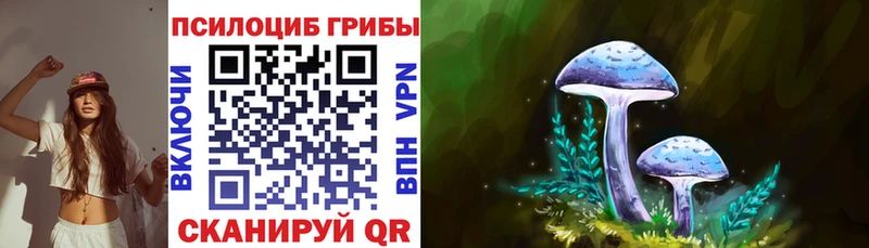 где продают наркотики  Чита  Галлюциногенные грибы Psilocybine cubensis 